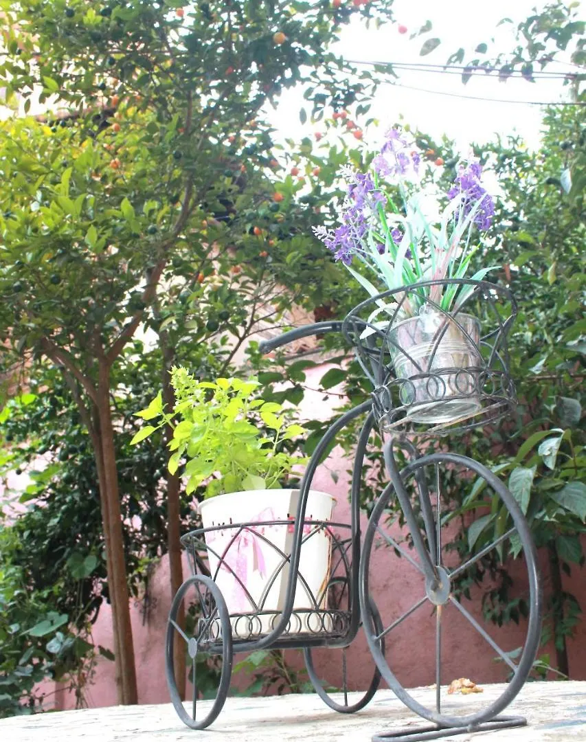 Villa Center Tirana